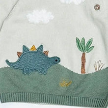 Load image into Gallery viewer, Organic Dino Baby Pullover Sweater
